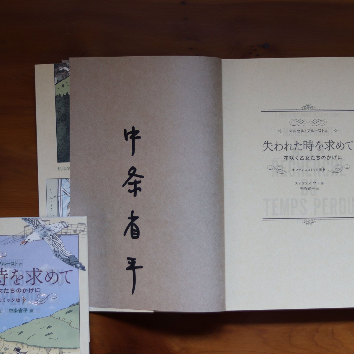 マルセルプルースト「失われた時を求めて」全巻朗読 CD フランス語 