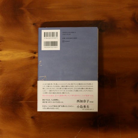 空、はてしない青（下）｜メリッサ・ダ・コスタ （著）山本知子（訳）