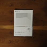 明るい日陰