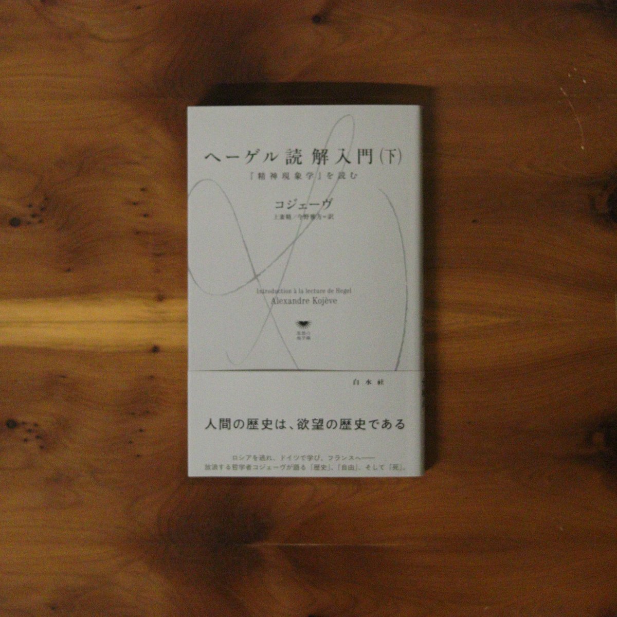 ヘーゲル読解入門（下）『精神現象学』を読む｜アレクサンドル
