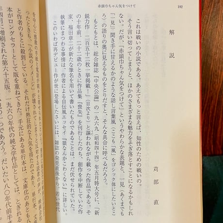 赤頭巾ちゃん気をつけて／庄司薫