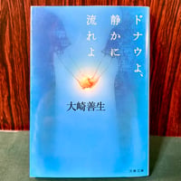 ドナウよ、静かに流れよ／大崎善生