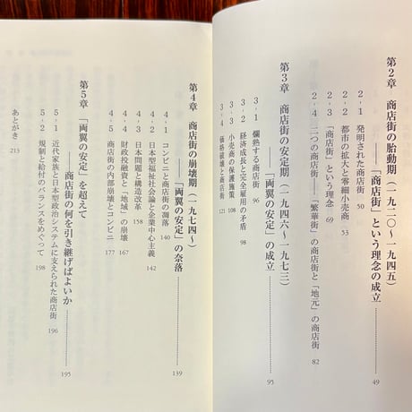 商店街はなぜ滅びるのか  社会・政治・経済史から探る再生の道／新雅史