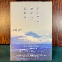 ドナウよ、静かに流れよ／大崎善生