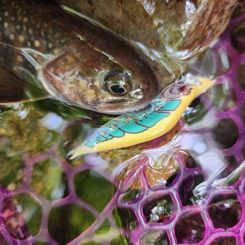 バルサミノーking50s 限定コラボ 第一弾 | J＆TROUT