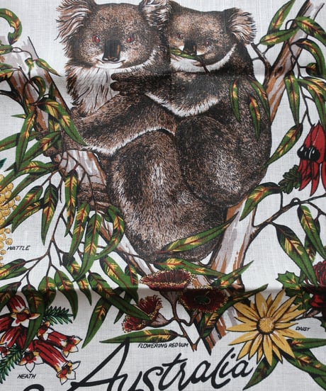 1996 koala calendar📅🐨　セット販売専用