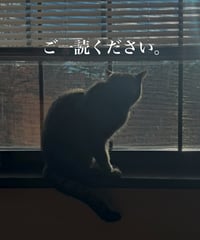 ❁注意事項❁