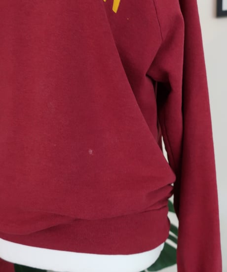 LAURENTIAN sweatshirt 𓇣