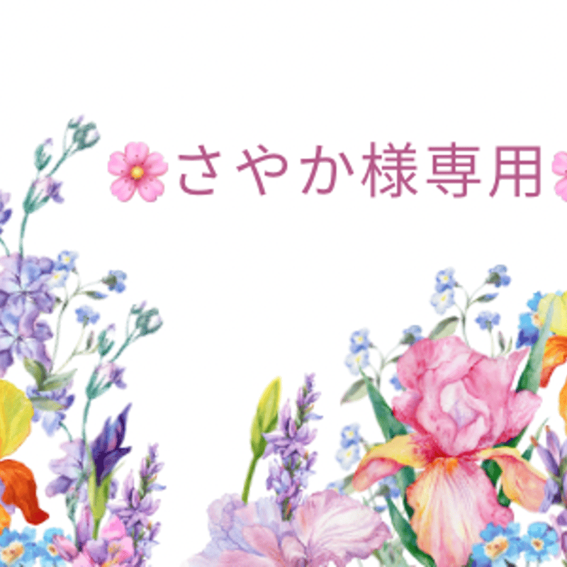 Sayakaさま専用 Sayaka様専用 SAYAKA 様 〜専用〜 ZX｜製品紹介｜