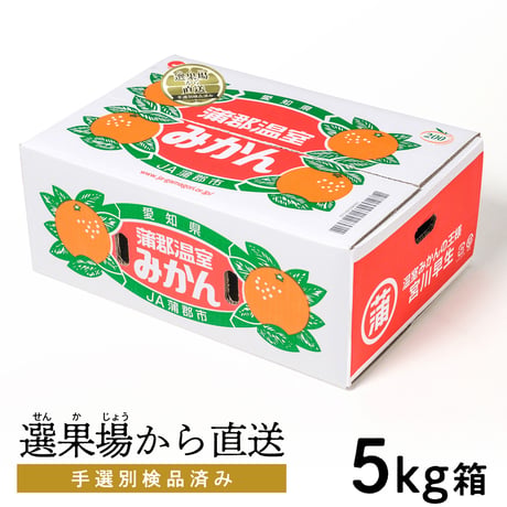 蒲郡温室みかん【ハウス／秀品】※発送についてはお知らせをご確認ください。