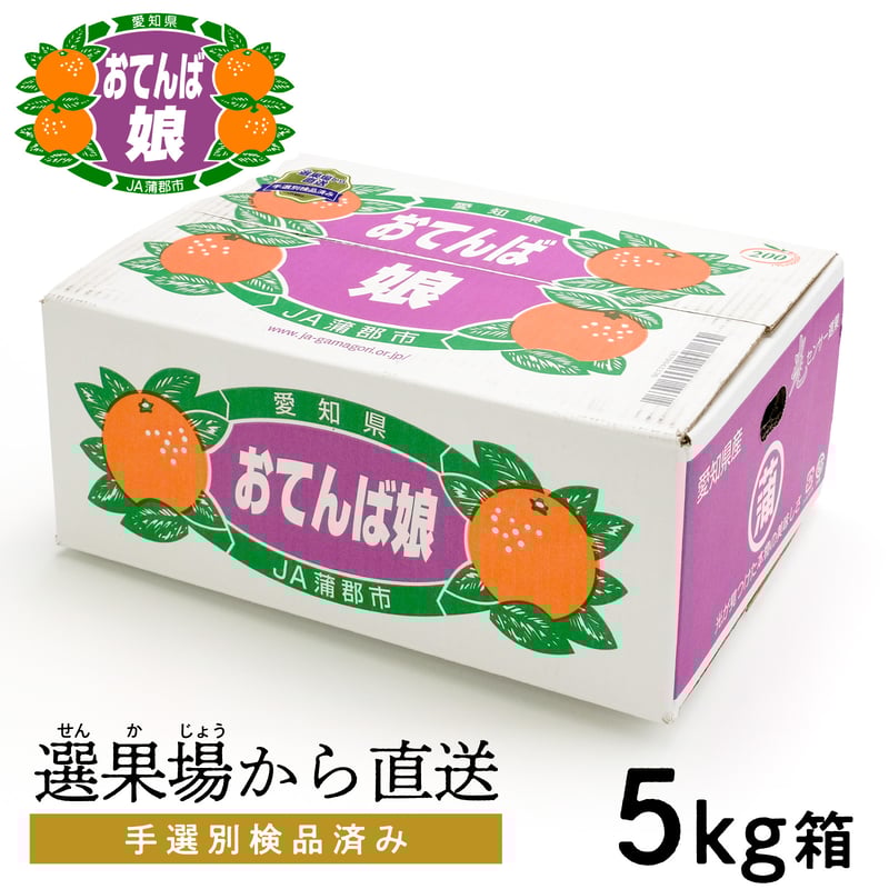 蒲郡みかん（おてんば娘・秀品）※今年度の販売は終了しました
