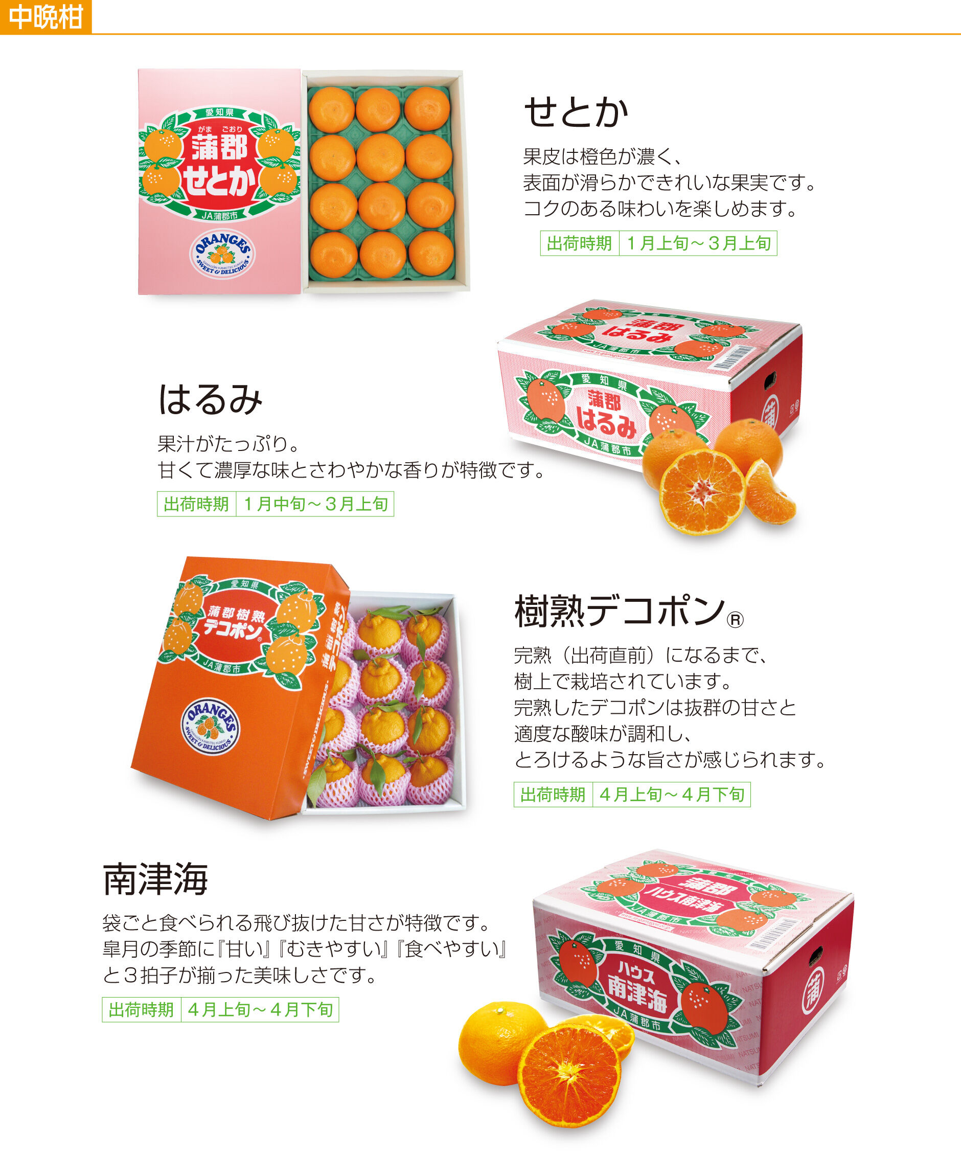 オイシイガマゴオリ