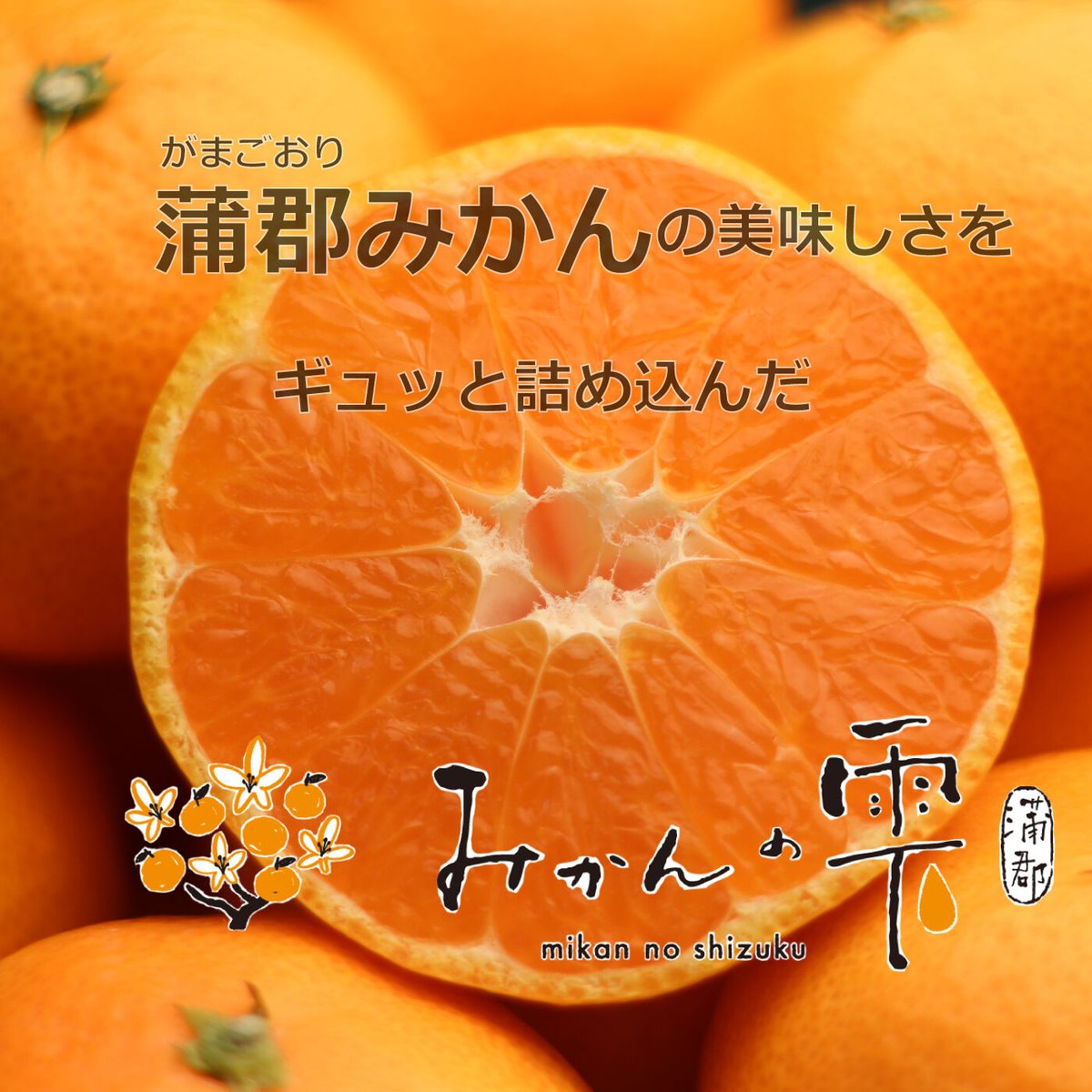 シズク　みかん 旨さギュっと！濃厚小粒みかん「ひとしずく」9kg（2S・3Sサイズ