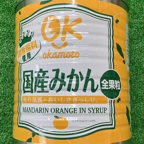 国産みかん缶詰（蒲郡産みかん100％使用）