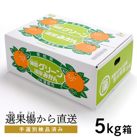 夏の定期便！（8月上旬）温室みかん秀品2.5ｋｇ（8月下旬）グリーン温室みかん秀品5ｋｇ