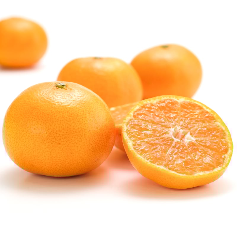 【新品未開封まとめ売り】メロジョイ　みかん　Creamy Tree 緑みかん商品 - 有限会社ジョイファーム小田原