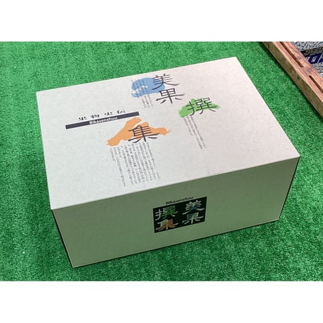 愛知県産アールスメロン×蒲郡温室みかんセット