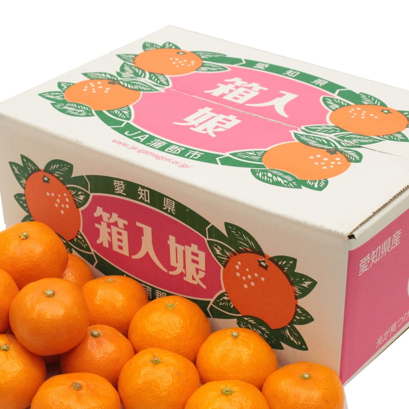 蒲郡みかん 箱入娘(予約）※必ず「お知らせ」をご一読ください