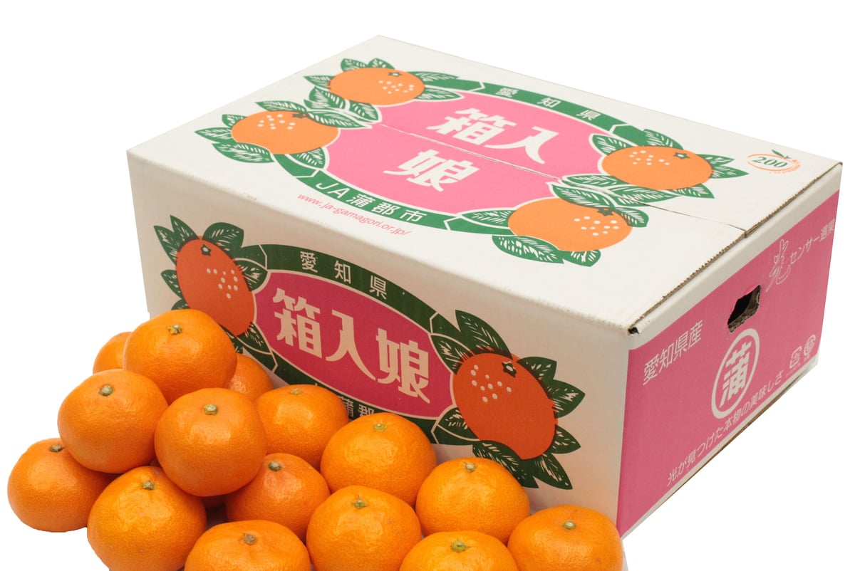 みかんママ 蒲郡みかん 箱入娘(予約）※必ず「お知らせ」をご一読ください