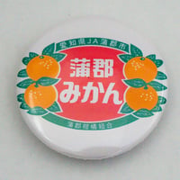 蒲郡みかんグッズ