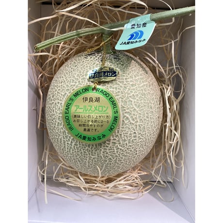愛知県産アールスメロン×蒲郡温室みかんセット
