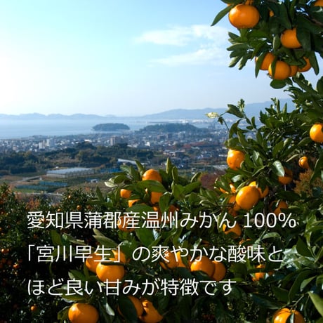 みかんの雫