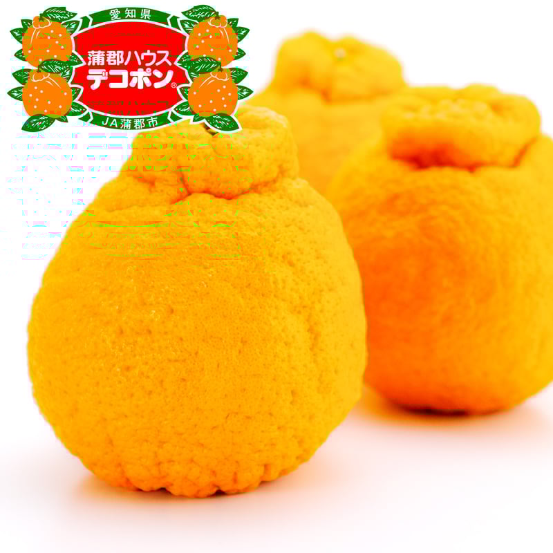 オイシイガマゴオリ