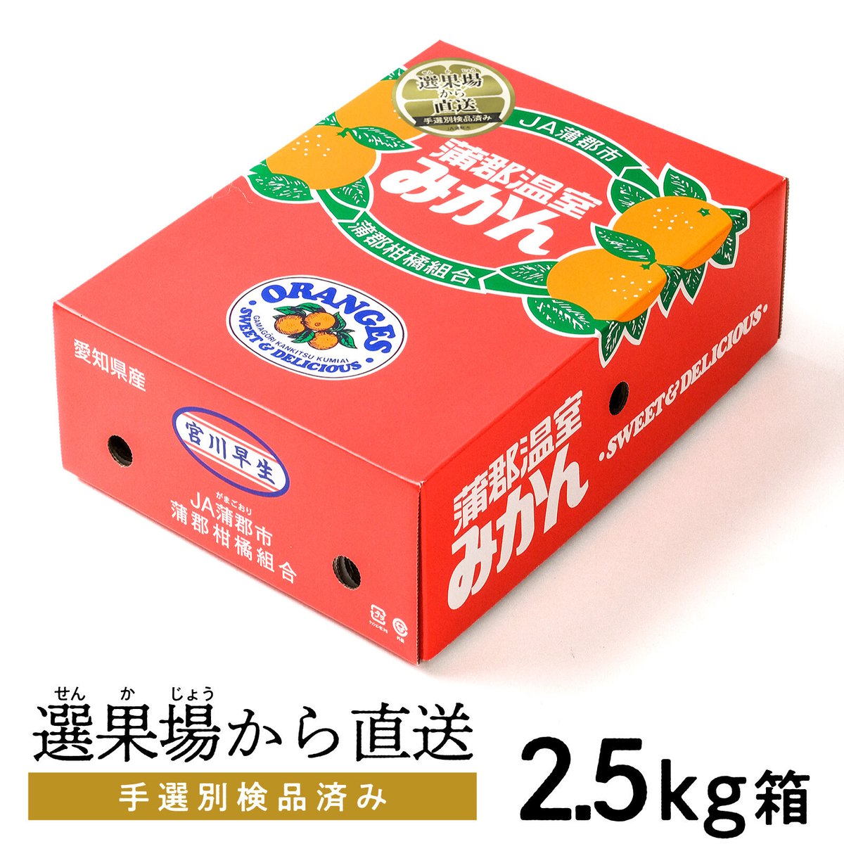 蒲郡温室みかん【ハウス／優品】※発送についてはお知らせをご確認