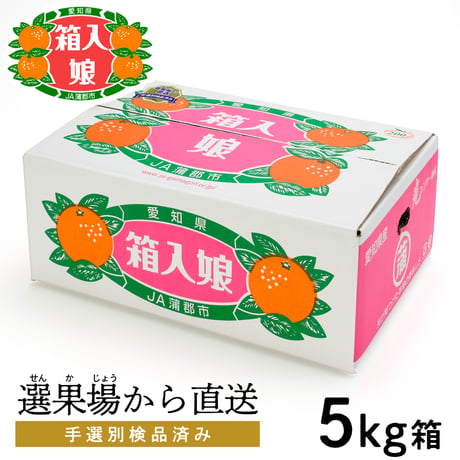 蒲郡みかん　箱入娘(予約）※必ず「お知らせ」と「発送について」をご一読ください。