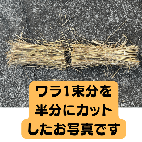 自然栽培わら５束分　半分にカットで配送　送料別途¥1,530〜