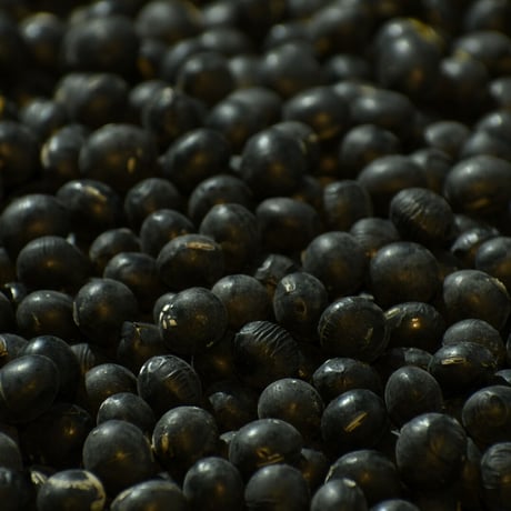 手選別品　黒豆［200g〜500g〜１kg］【貴重★★★】送料420円ポスト投函