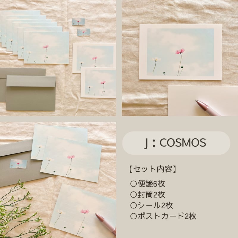 選べる】レターセット | ゆずえび