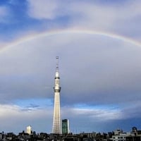 電話鑑定　５０分