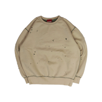 PSCD® College Logo Sweat Lv.2