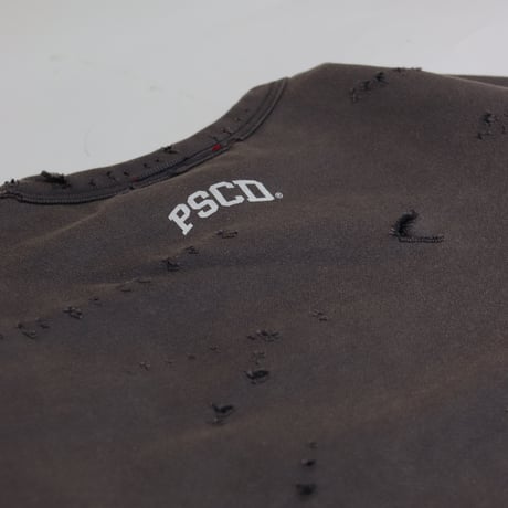 PSCD® College Logo Sweat Lv.3