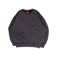 PSCD® College Logo Sweat Lv.3
