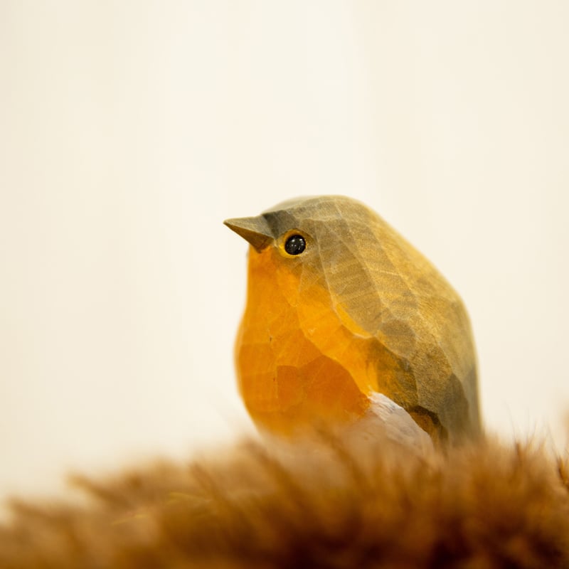 WOOD BIRD ヨーロッパコマドリ | phototriphokkaido's STORE