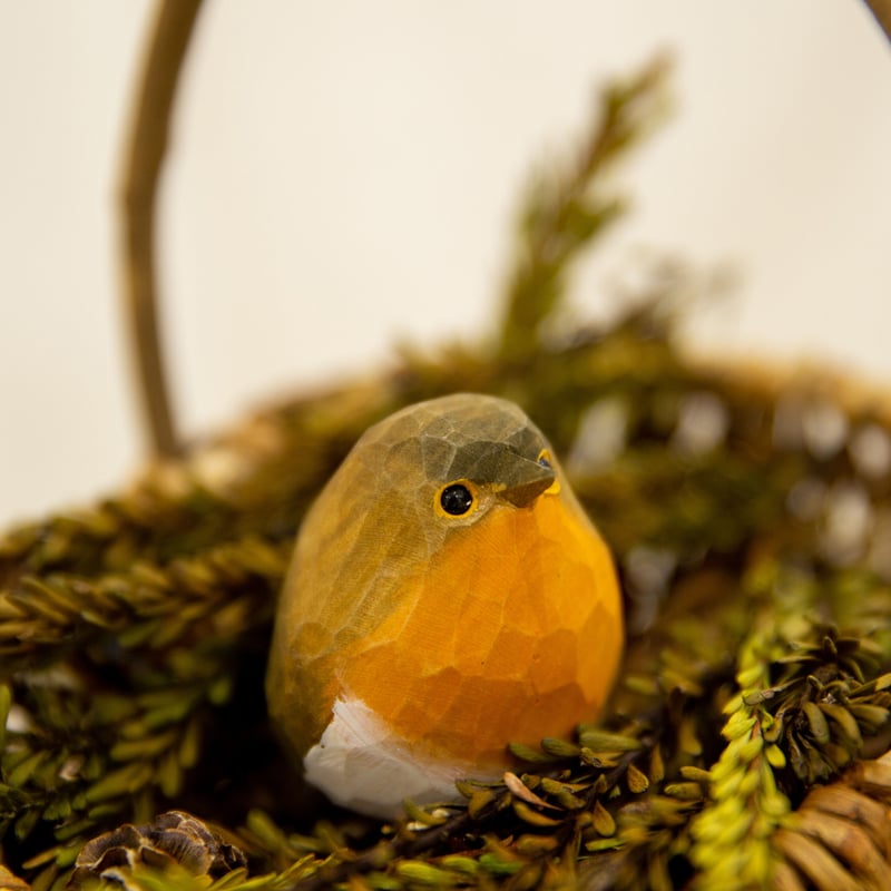 WOOD BIRD ヨーロッパコマドリ | phototriphokkaido's STORE