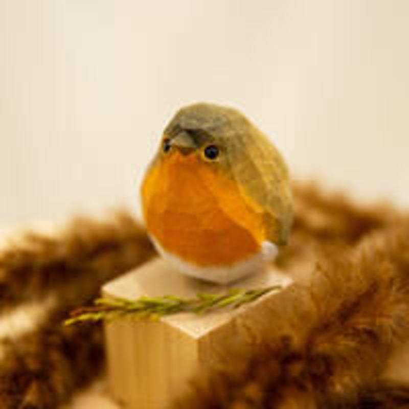 WOOD BIRD ヨーロッパコマドリ | phototriphokkaido's STORE