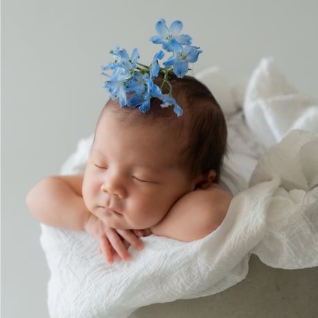 ニューボーンフォト/アニバーサリーフォトのセレクトショップ Shhh.