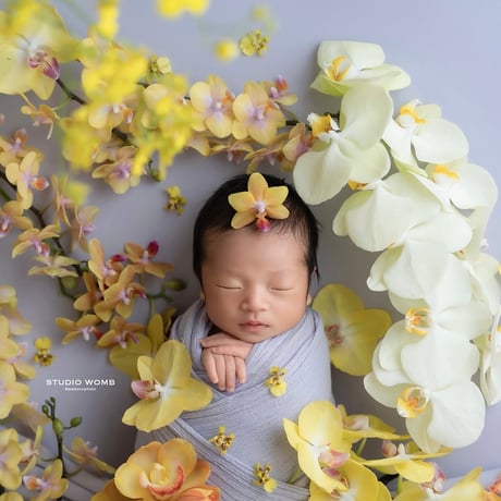 背景布　【　春D　】　サンプル　ニューボーンフォトなどに♪ CATEGORY -Back Drop | ニューボーンフォト/アニバーサリー