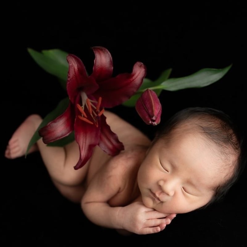 Original Backdrop/黒背景布/Deep Black | ニューボーンフォト/ア