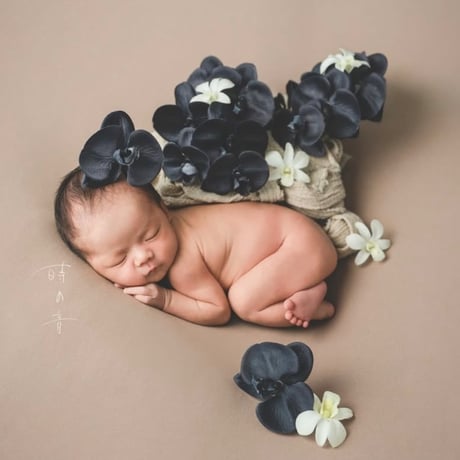 CATEGORY -Back Drop | ニューボーンフォト/アニバーサリーフォトの