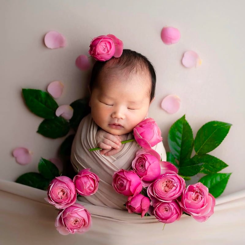 再販なし】Reversible Backdrop/リバーシブル背景布/ Fluffy Bei