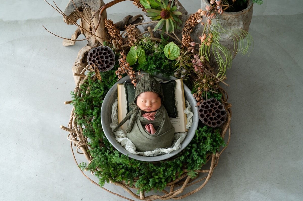 ニューボーンフォト　双子ちゃん　かご　蔓かご　天然蔓　新生児　フォトスタジオ ニューボーンフォト双子ちゃんかご蔓かご天然蔓新生児フォトスタジオ