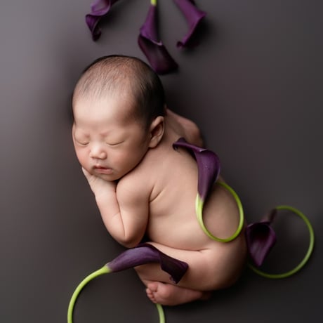 背景布　【　屋内G　】　サンプル　ニューボーンフォトなどに♪ 楽天市場】＼最大P15倍&2BUY10%ｵﾌ／☆楽天1位☆ 背景布 撮影用