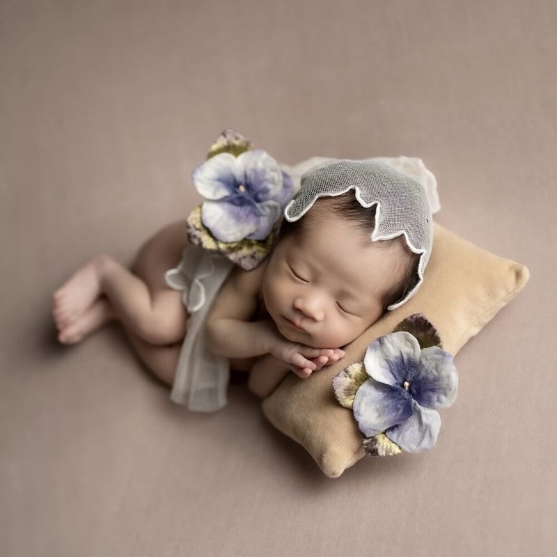 再販なし】オーガニックコットンベロア 背景布/Soft Pink | ニュー