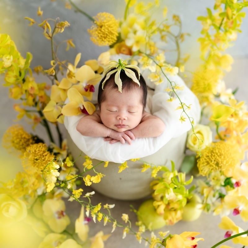 10/19:Re】赤ちゃん の TAMAGO | ニューボーンフォト