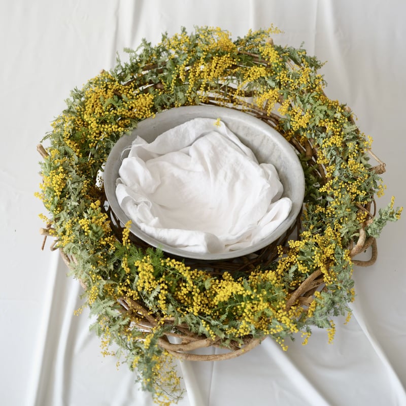 ドレープ背景布/White | ニューボーンフォト/アニバーサリーフォトの