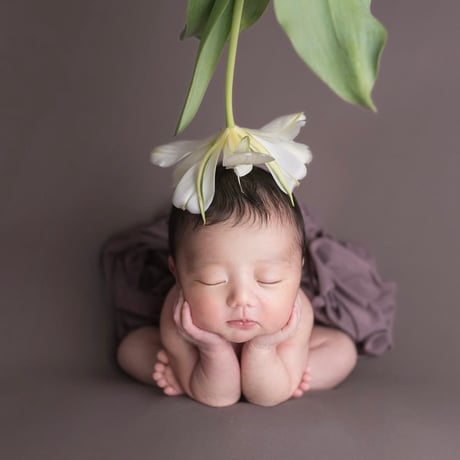 背景布　【　フラワーMIX C　】　サンプル　ニューボーンフォトなどに♪ 背景布 【 フラワーMIX C 】 サンプル ニューボーンフォトなどに